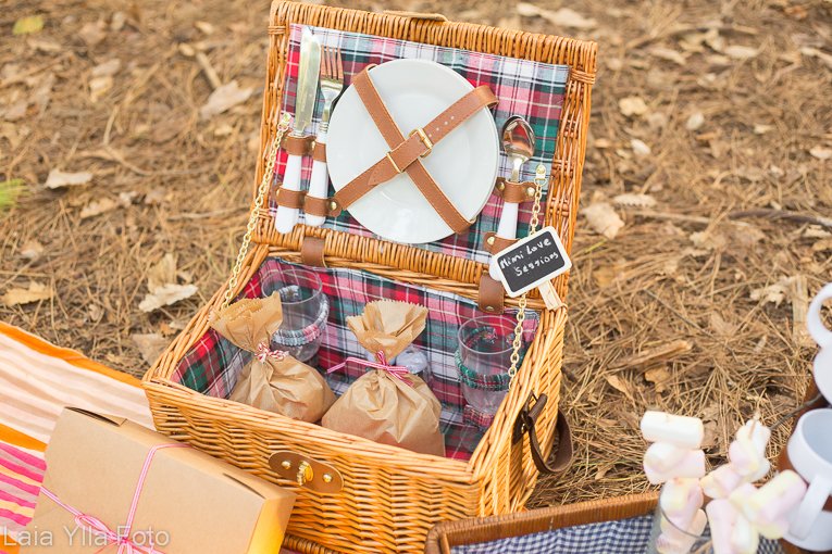 picnic familia laia ylla